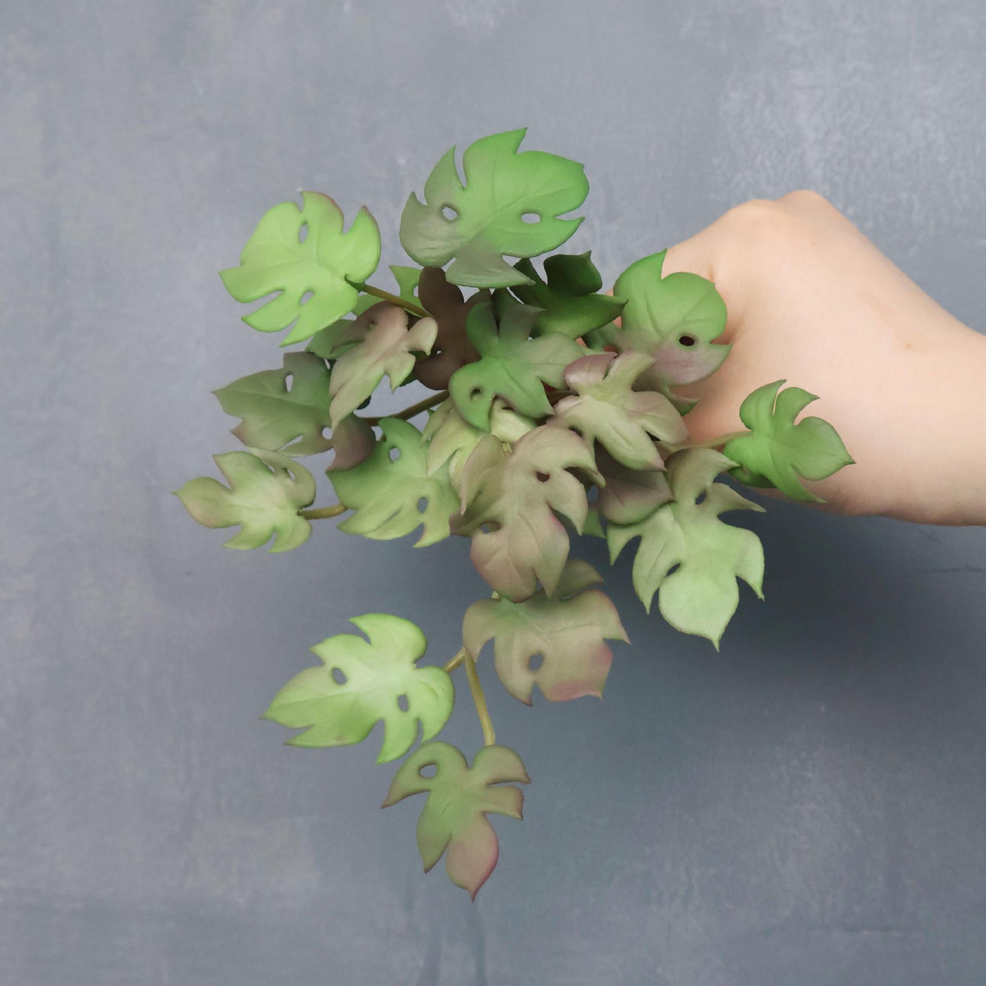 Petit bouquet de feuilles de tortue vert violet