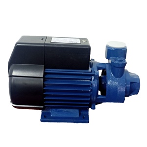 Trung Quốc Nhà sản xuất OEM thiết bị ngoại vi bơm động cơ 1/2HP Vườn Nhà tưới tiêu nông nghiệp <span class=keywords><strong>pm45</strong></span> - Product Image 2