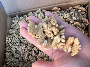 185 noyaux de <span class=keywords><strong>noix</strong></span> bruts séchés de qualité supérieure en sachet - Collations saines - Product Image 4