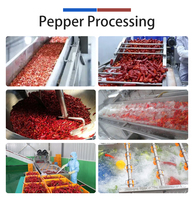 FENGXIANG Op maat gemaakte chilipeper was-, droog- en snijmachine, peperproductielijn
