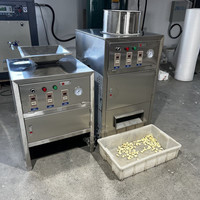 Machine à peler l'ail commerciale - Machine à peler entièrement automatique