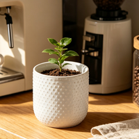 Pot de fleurs en céramique blanc mat à texture gaufrée en forme de points, cylindrique, pour plantes succulentes, décoration intérieure de bureau