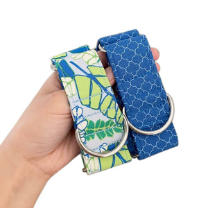 Cao Cấp 2 "Inch 5Cm Thể Thao Rộng Greyhound Cổ Áo <span class=keywords><strong>Martingale</strong></span> Con Chó Cổ Áo Cho Vật Nuôi Chạy Đi Bộ Đi Bộ Đường Dài Đào Tạo - Product Image 2