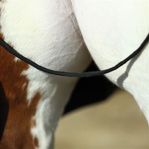 חסכוני עיצוב לוגו מותאם אישית סוסים שמיכת רכיבה באיכות גבוהה ספק סוסים סדין - Product Image 6