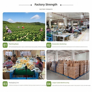 Juguete para Gatos <span class=keywords><strong>de</strong></span> Luffa Comestible con Hierba Gatera, Barra Masticable Interactiva para Limpieza Dental y Masaje <span class=keywords><strong>de</strong></span> Encías, Origen Guangxi, Directo <span class=keywords><strong>de</strong></span> Fábrica, En Stock, Venta al por Mayor - Product Image 5