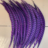 Plumes de queue de faisan Lady Amherst teintées de haute qualité, 80-90 cm, pour défilés, Halloween, accessoires pour cheveux, samba