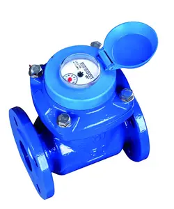 Manufactures Removable Element Woltman Water Meter