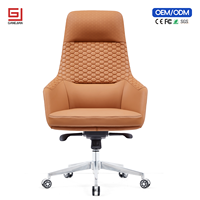 Chaise de bureau ergonomique professionnelle avec soutien lombaire et fonction pivotante
