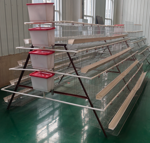 Produit recommandé : Cages à batterie haute efficacité pour volailles, poulets pondeuses, poulaillers, cages à poulets pour les pays en développement - Product Image 6