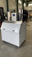 Machine / Usine de Fabrication de Flocons de Neige et de Glace à l'Eau Salée Commerciale pour la Pisciculture