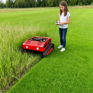 High Quality Diesel Powered Convenient and Efficient <b>Push</b> Lawn <b>Mower</b> - Product Image 6