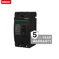 Disjoncteurs à boîtier moulé Beny BDM250 IP65 15KA 500V 250A DC certifiés TUV CE CB SAA, norme IEC60947-2, garantie 5 ans