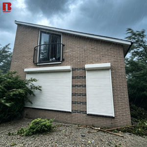 <span class=keywords><strong>Porte</strong></span> <span class=keywords><strong>de</strong></span> <span class=keywords><strong>garage</strong></span> isolée et résistante aux ouragans Bolang Roller Shutters, fabricant <span class=keywords><strong>de</strong></span> portes anti-ouragan pour les maisons <span class=keywords><strong>de</strong></span> la Floride, du Texas et des îles. - Product Image 2