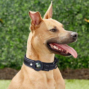 Cómodos collares acolchados <span class=keywords><strong>de</strong></span> neopreno para mascotas Collar <span class=keywords><strong>De</strong></span> Perros suave <span class=keywords><strong>De</strong></span> nailon ajustable Collar <span class=keywords><strong>De</strong></span> Perro reflectante con soporte <span class=keywords><strong>De</strong></span> <span class=keywords><strong>Airtag</strong></span> - Product Image 5