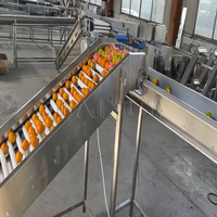Sorteermachine voor appels, uien, citrusvruchten en groenten