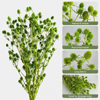 Bouquet de fleurs séchées naturelles Jequirity Bean et Gipsofila pour la maison, les mariages, les remises de diplômes et les décorations de Noël - Nouveauté 2026, Vente Flash