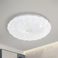 Plafonnier en fer directement de l'usine, haute qualité, télécommande LED IP33, design floral pour chambre à coucher, couloir, escalier, entrée, hall