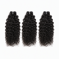 Extensions de Cheveux Humains Vierges Brésiliens Remy Ondulés (Water Wave) 18 20 22 Pouces Noir Naturel à Coudre pour Salons de Coiffure (Vente en Gros)