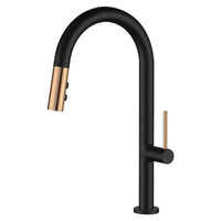 Robinet de cuisine moderne monocommande chaud/froid en acier inoxydable noir et or, à monter sur comptoir, avec douchette extractible