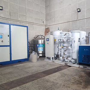 Générateur automatique professionnel d'azote liquide de BW Offre Spéciale le conteneur de PLC de nouvel état pour l'usine de fabrication - Product Image 2