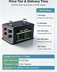 Batterie LiFePO4 51,2 V 100 Ah avec BMS intégré pour stockage d'énergie solaire et chariots de golf, 5120 Wh, 800 cycles - Product Image 3