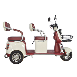 Tricycle populaire, tricycle pour adultes, tricycle passager, tricycle pour adultes - Product Image 1