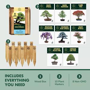 Kit d'arbre bonsaï <span class=keywords><strong>de</strong></span> rebord <span class=keywords><strong>de</strong></span> fenêtre ensemble <span class=keywords><strong>de</strong></span> jardinage d'intérieur en bois avec visionneuse <span class=keywords><strong>de</strong></span> racines pour la conception artificielle décorative <span class=keywords><strong>de</strong></span> la fête des pères - Product Image 2