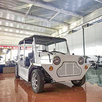 Voiture électrique Moke Beach Buggy 4 places, nouvelle conception, batterie lithium, certifiée EEC, 96V, version originale.
