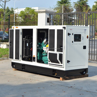Groupe électrogène diesel silencieux et fiable WellPower WP-C50V à refroidissement par eau, personnalisable, 25 kW, 30 kW, 100 kW, 500 kW, avec ATS
