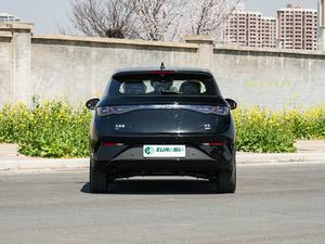 Popolare Auto Elettrica Byd <span class=keywords><strong>Dolphin</strong></span> 2025, Nuova Energia, Lunga Autonomia, Consegna Rapida, Byd <span class=keywords><strong>Dolphin</strong></span> 520 km, Piccola Auto Elettrica Hatchback - Product Image 6