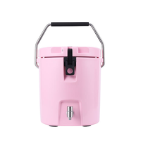 Seau à glace isotherme portable rotomoulé en PE de 8 L avec intérieur en acier inoxydable, personnalisable, moderne, haute qualité, faible MOQ, impression de logo