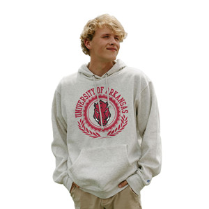 Felpa con Cappuccio Ufficiale NCAA Arkansas Razorbacks - Blu Solido 100% Cotone - Product Image 3