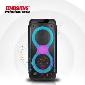 Temeisheng factory OEM party speaker bluetooth- TWS function stereo sound 300W altoparlante per karaoke da esterno di grande potenza