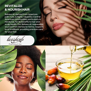 Champú en Gel de Aceite de Batana de Marca Privada con Aceite de Coco Vegano, Tratamiento para el Crecimiento del Cabello Antiencrespamiento para Mujeres y Hombres - Product Image 4