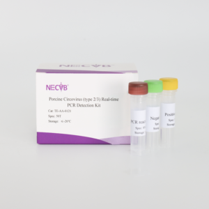 <span class=keywords><strong>PCV2</strong></span>/PCV3 Dual Fluorescent PCR <span class=keywords><strong>Kit</strong></span> - 50 T/Box Vet <span class=keywords><strong>Diagnostic</strong></span> Réactifs ISO Certifié - Product Image 2