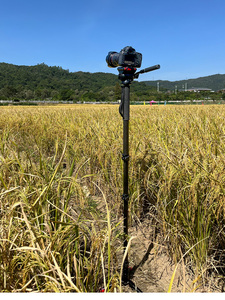 Chân Đế Một Chân Bằng Sợi Cacbon Chuyên Nghiệp Với Chân Đế Ba Chân Để Chụp Ảnh Máy Ảnh Và Máy Quay Phim - Product Image 6