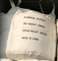 Sulfate d'aluminium anhydre 16-17% Al2O3 pour le traitement de l'eau et la régulation du pH du sol, sacs de 25 kg et 1000 kg, usine d'exportation