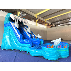 สไลเดอร์เป่าลมแบบ<span class=keywords><strong>2</strong></span>เลนสำหรับผู้ใหญ่สไลเดอร์น้ำแบบเป่าลมพร้อมสไลเดอร์สระว่ายน้ำรูปปลาโลมา20FT กลางแจ้ง - Product Image 4