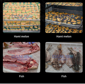 Séchoir à fruits de mer de qualité alimentaire Séchoir à sardine Séchoir à poisson et crevettes - Product Image 5