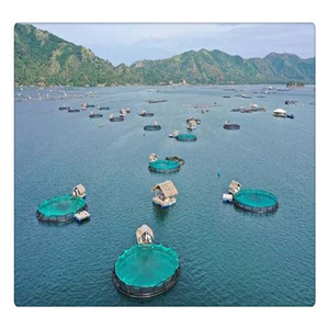 Jaula Flotante para Peces de 5*5m con Marco de HDPE para Tilapia en el Lago <span class=keywords><strong>Victoria</strong></span> - Product Image 6