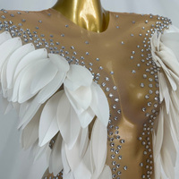 Robe longue de soirée blanche à franges et strass pour femme, transparente, pour boîte de nuit, fête, spectacle, festival