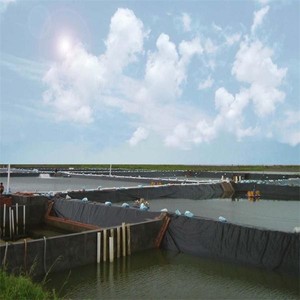Geomembrana HDPE Moderna de Alta Resistencia para Estanques, Piscinas, Vertederos y Almacenes, Impermeabilización Duradera - Product Image 6