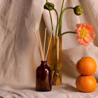 Diffuseur d'arômes moderne de style apothicaire avec bâtonnets en rotin, flacon en verre transparent, ensemble diffuseur d'arômes de luxe personnalisé avec accent feuille en bois
