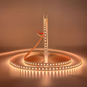 Souper Luminosité FPC Sortie DC24V 2835 SMD 5mm <span class=keywords><strong>DALI</strong></span> Zigbee Gradation Smart LED Strip Light - Product Image 2