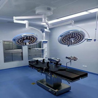 Lumière chirurgicale sans ombre à LED à double dôme Équipement d'éclairage professionnel pour l'examen vétérinaire en clinique