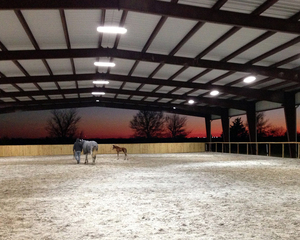 Prefabbricata Personalizzato Mucca Capannone Prefabbricato Struttura In Acciaio <span class=keywords><strong>Disegno</strong></span> Dairy Farm - Product Image 4