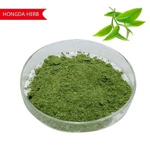 宏达厂家供应抹茶绿茶提取物粉100% 有机抹茶粉