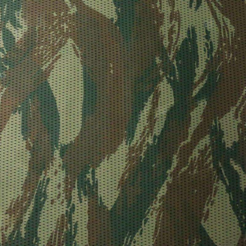 กิ้งก่ากรีกลายพราง