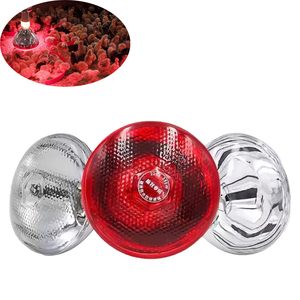 Lámparas halógenas reflectoras aisladas para criaderos de animales, equipos de cría de animales para granjas, lámparas calefactoras para lechones - Product Image 1