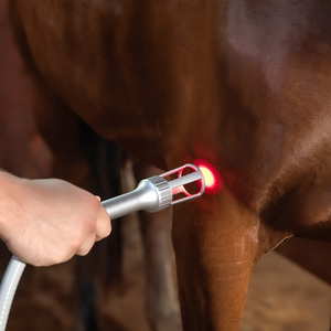 Dispositivo de fisioterapia de terapia láser veterinaria de clase IV para aliviar el dolor de caballos y curar heridas rápidamente - Product Image 5